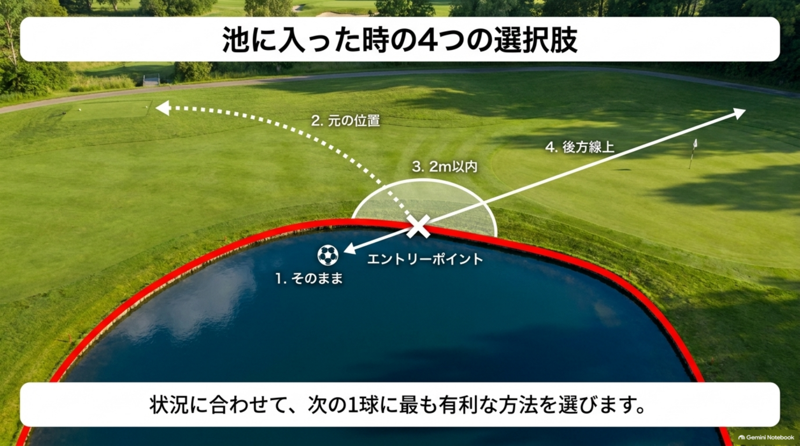 池に入った時の4つの選択肢を1枚にまとめた図：1そのまま、2元の位置、3進入地点から2m以内、4後方線上