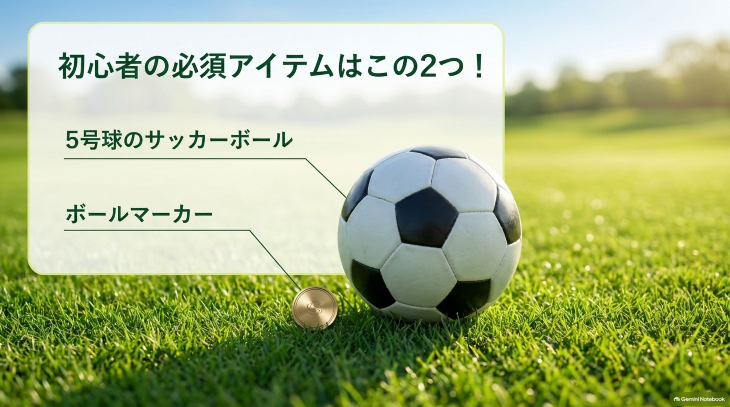 芝生の上に置かれた5号球のサッカーボールとボールマーカー。フットゴルフ初心者の必須アイテムは5号球とボールマーカーの2つ